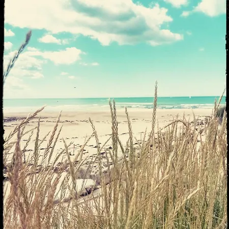 キャンプ場 Mobil Front De